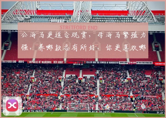 公海马更适合观赏，母海马繁殖力强，养哪款各有所好，你更喜欢哪一款