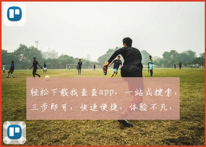 轻松下载我查查app，一站式搜索，三步即可，快速便捷，体验不凡，三重惊喜，不容错过，速来体验